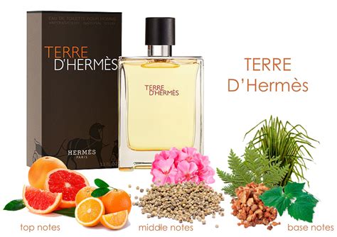 Hermes terre d'hermes original ingredients